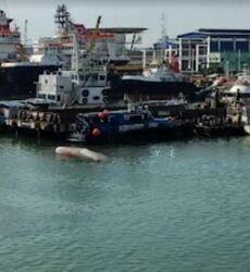 cwt-pandan-logistics-centre photo thumbnail #1
